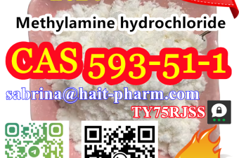 8615355326496 Methylamine hydrochloride CAS 593511
